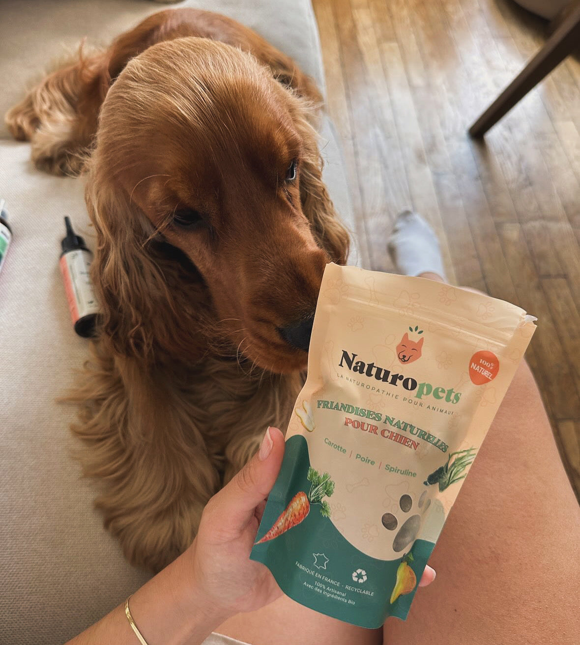 Pack friandises naturelles pour chien - 2 x 100 g