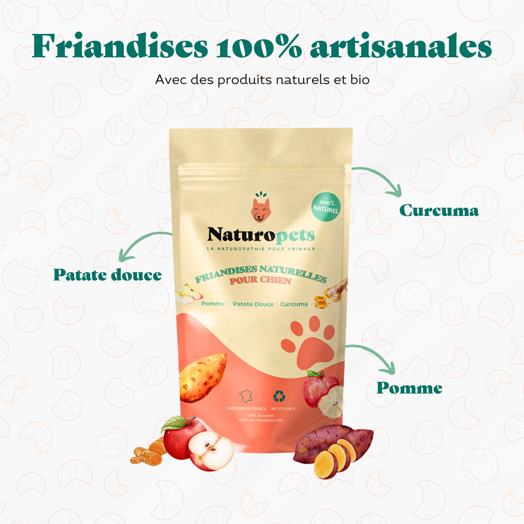 Friandise_naturelle_bio_pomme_patate_douce_curcuma_chien_-_Ingredients