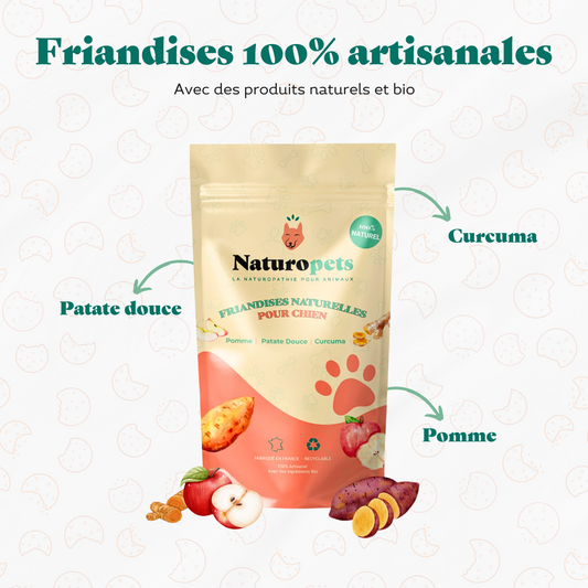 Friandise_naturelle_bio_pomme_patate_douce_curcuma_chien_-_Ingredients