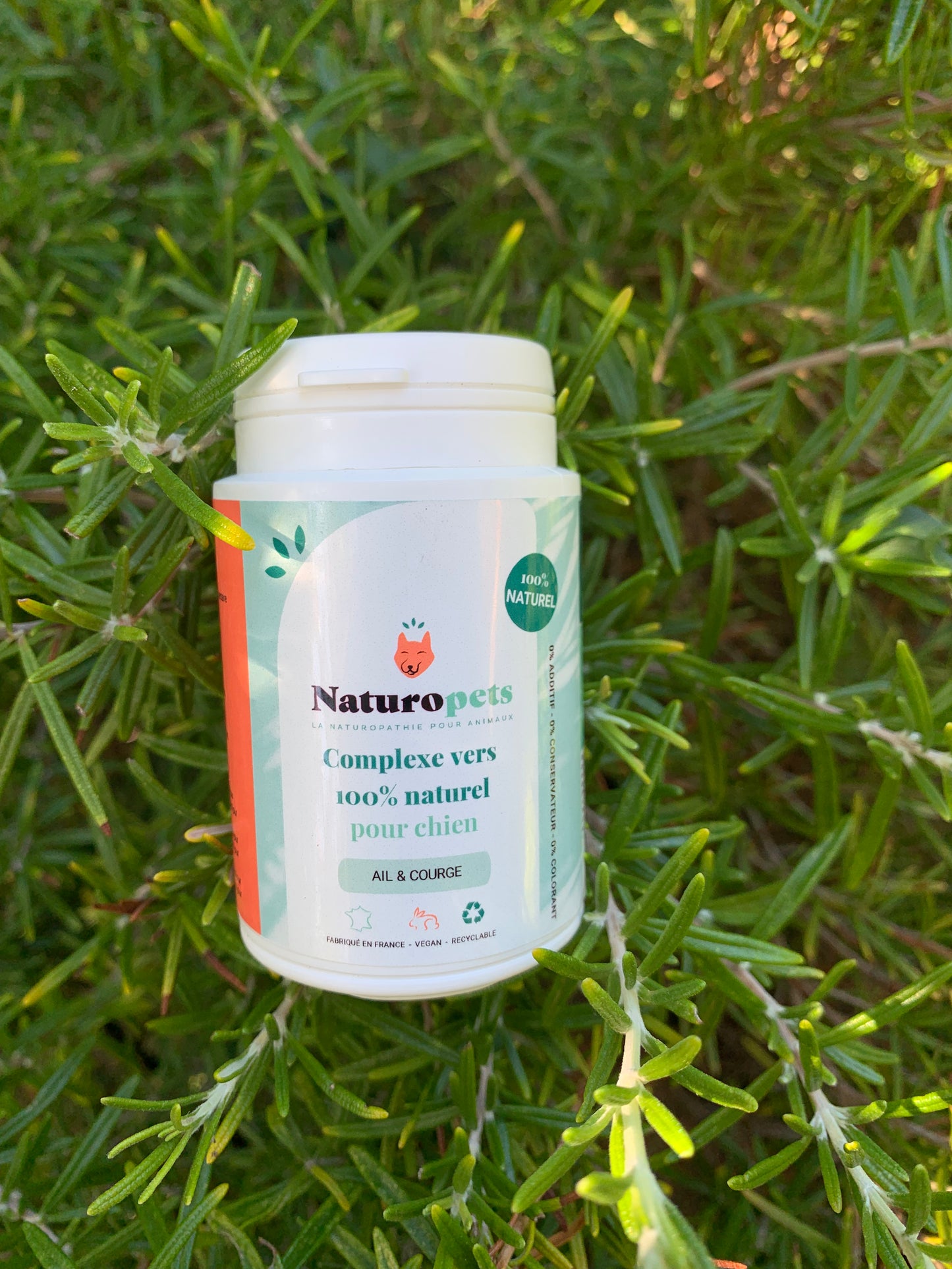 vermifuge naturel chien