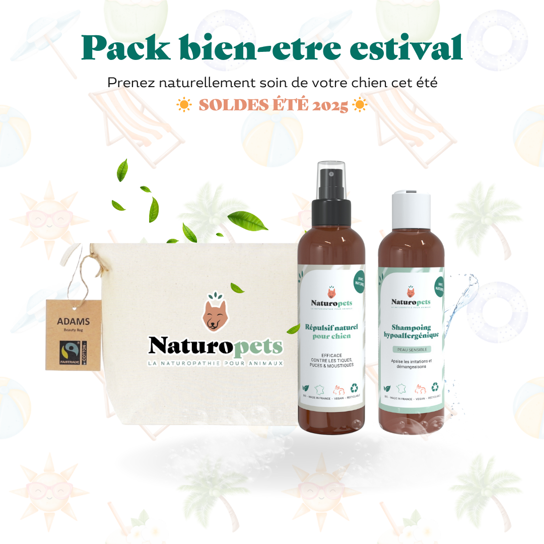 Pack Bien-être Estival pour chien