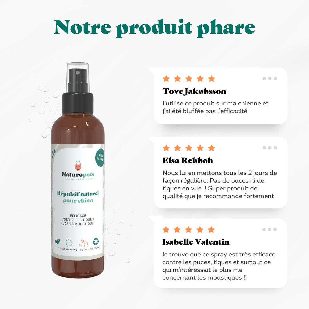 Répulsif anti moustique, puce et tique naturel pour chien - avis clients