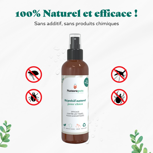 Répulsif anti moustique, puce et tique naturel pour chien - efficacité