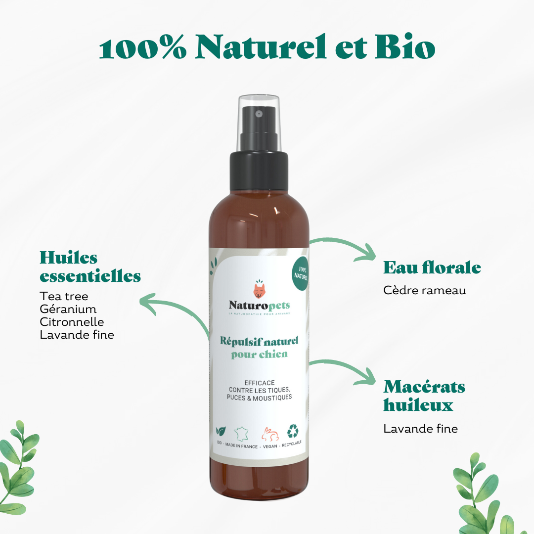 Répulsif anti moustique, puce et tique naturel pour chien - ingrédients