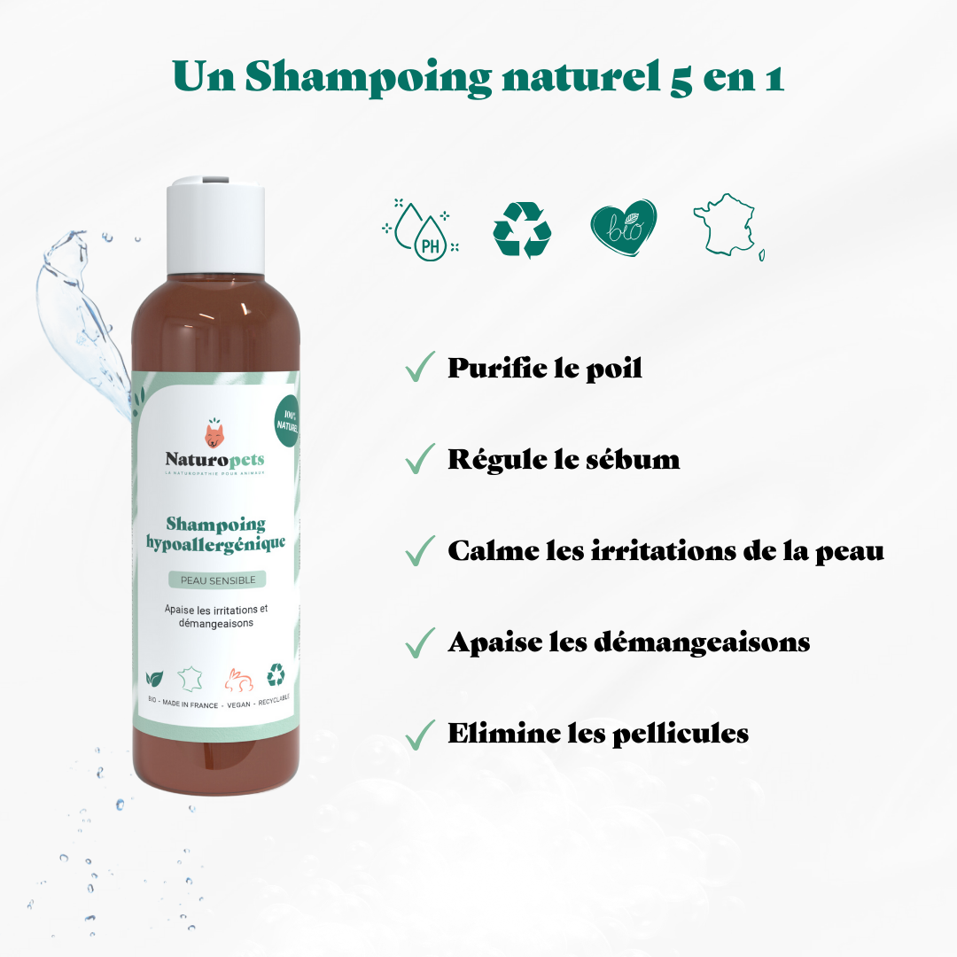 Shampoing Hypoallergénique naturel chien mutli actions