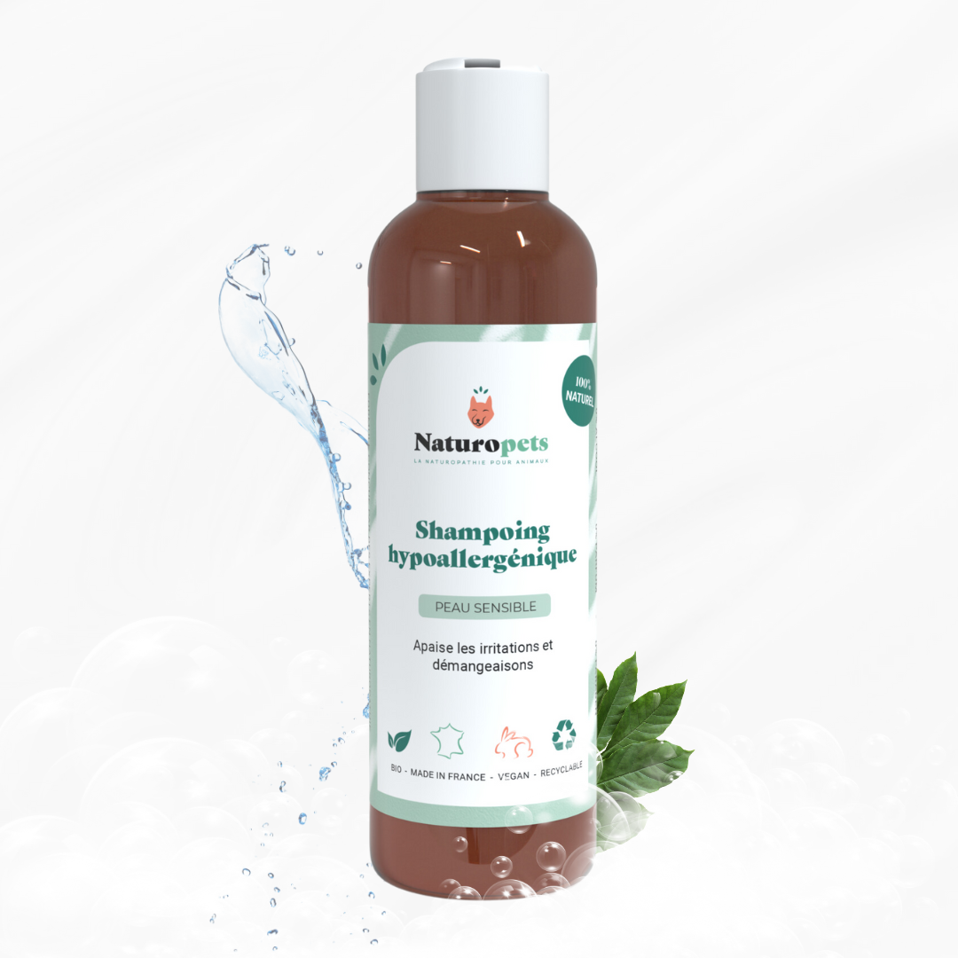 Shampoing Hypoallergénique naturel et bio pour chien