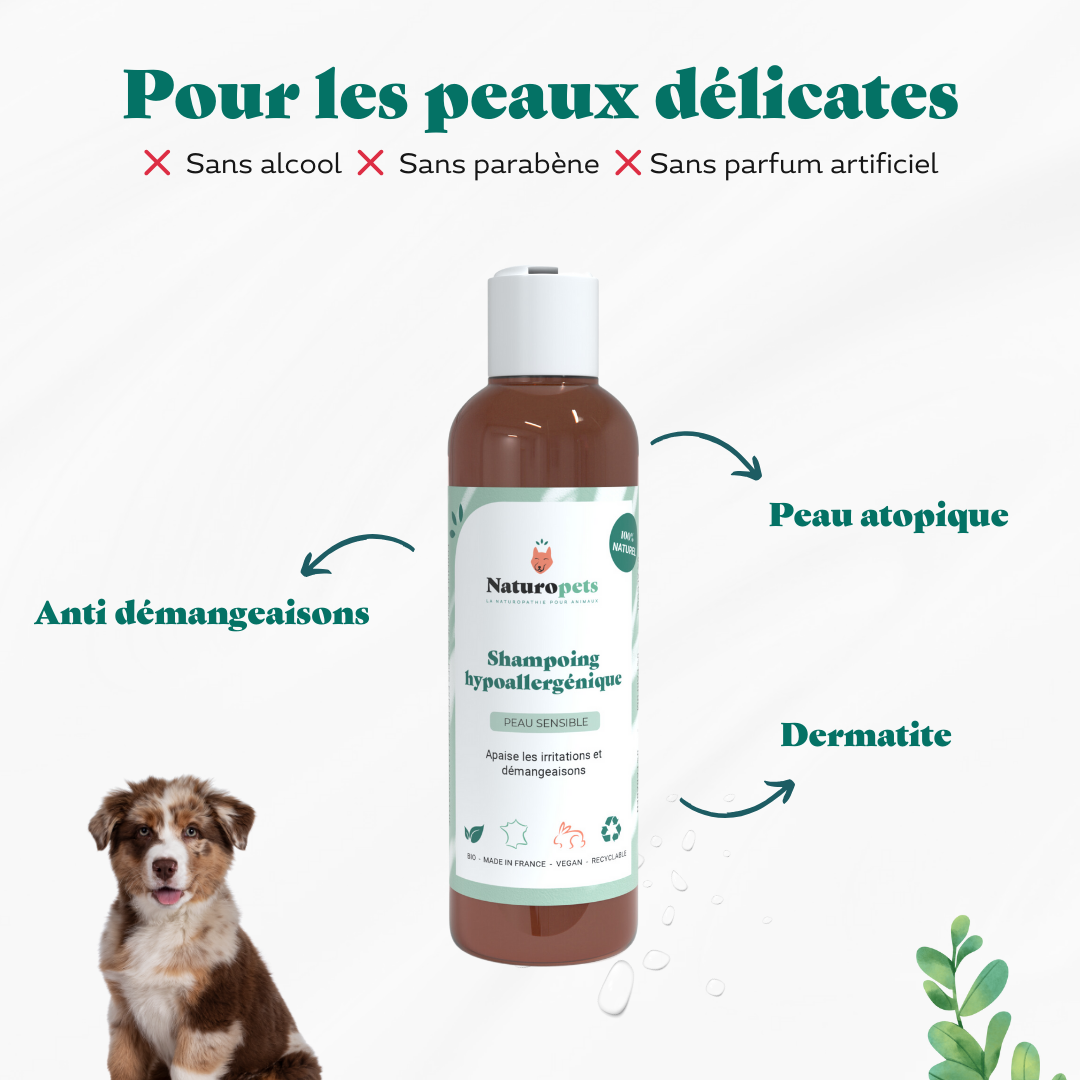 Shampoing Hypoallergénique naturel chien
