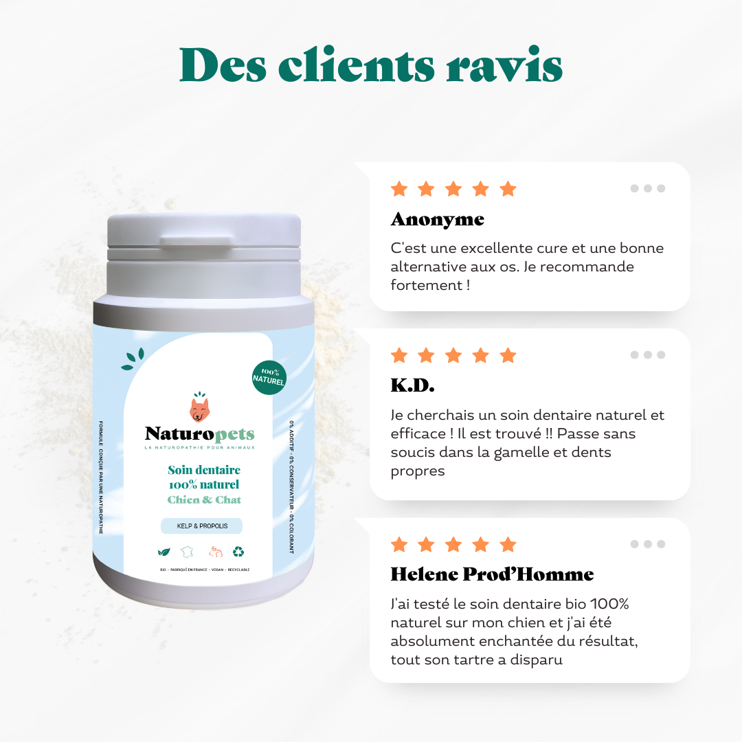 Soin dentaire chien avis clients