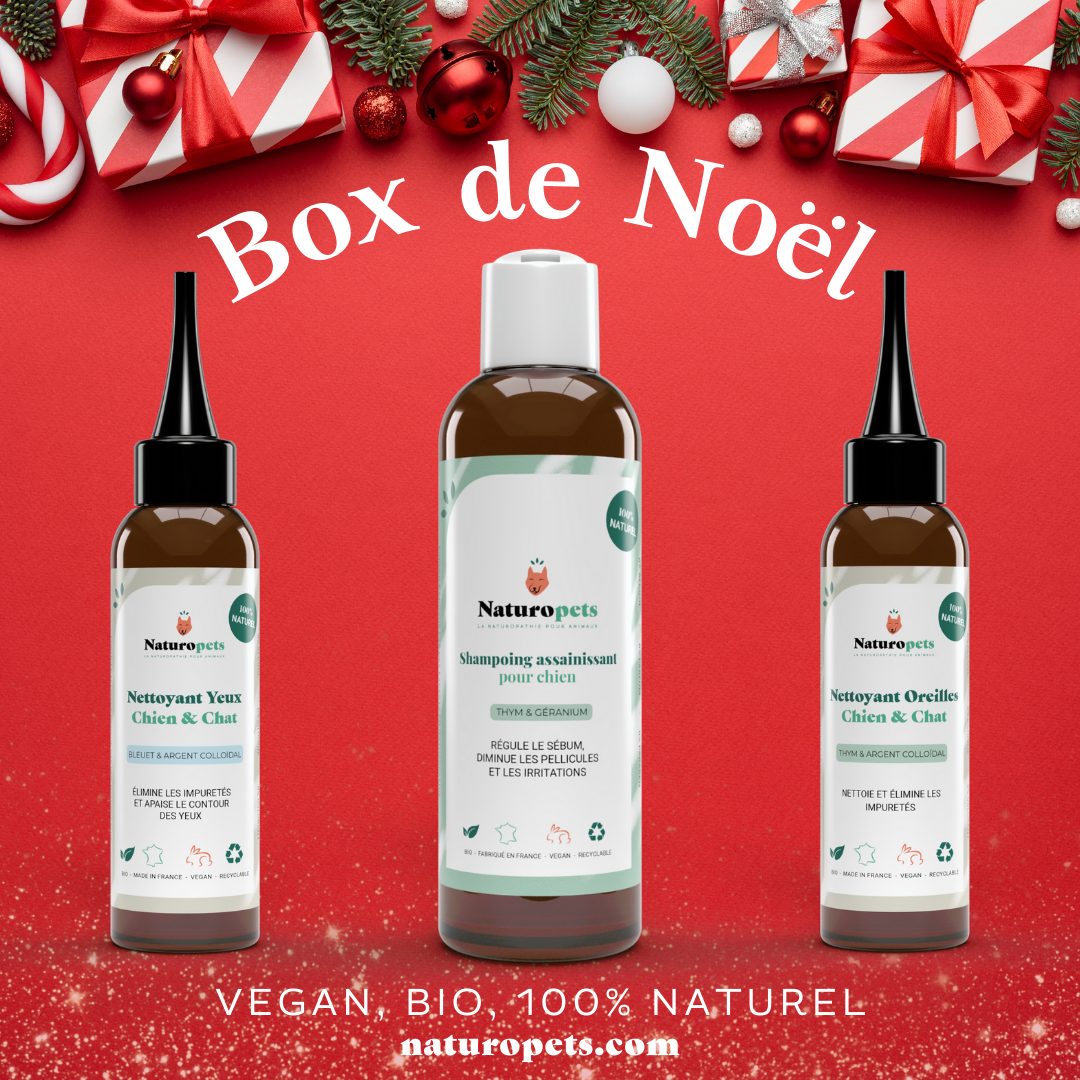 Box de Noël - Soins naturels pour chien & chat