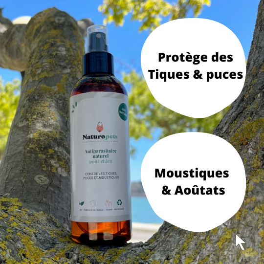 Répulsif anti tiques & puces - Chien