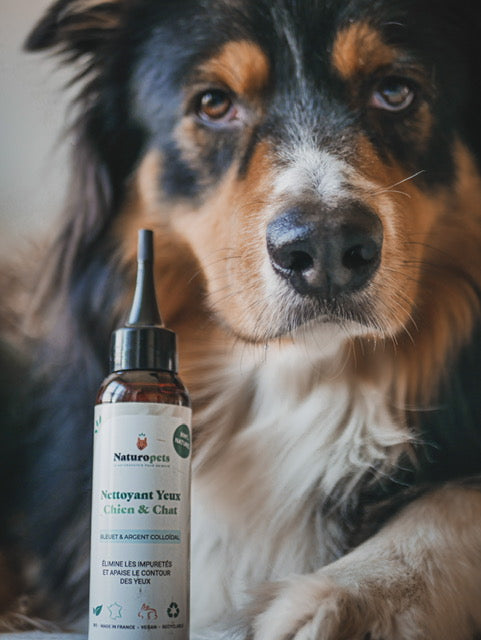 lotion yeux chien et chat