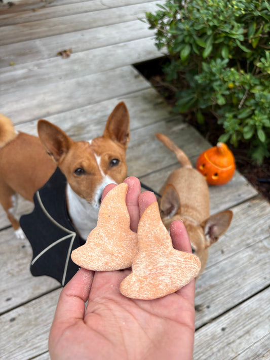 Biscuits Halloween chien