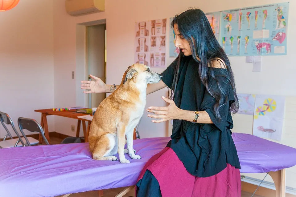Maïté, thérapeute animalier a testé Naturopets