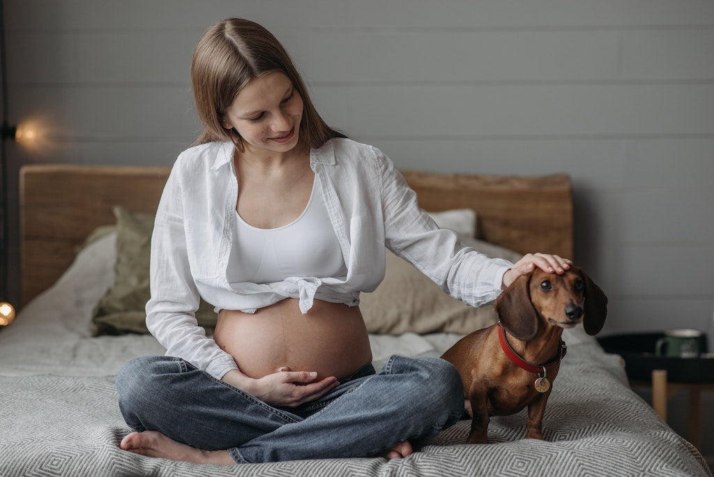 Comment bien préparer son chien à l'arrivée d'un bébé ? 