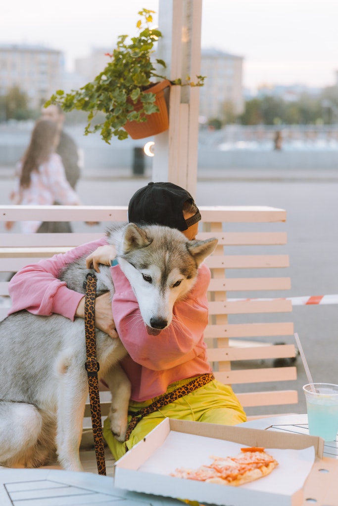 Voyager avec son chien c’est possible !