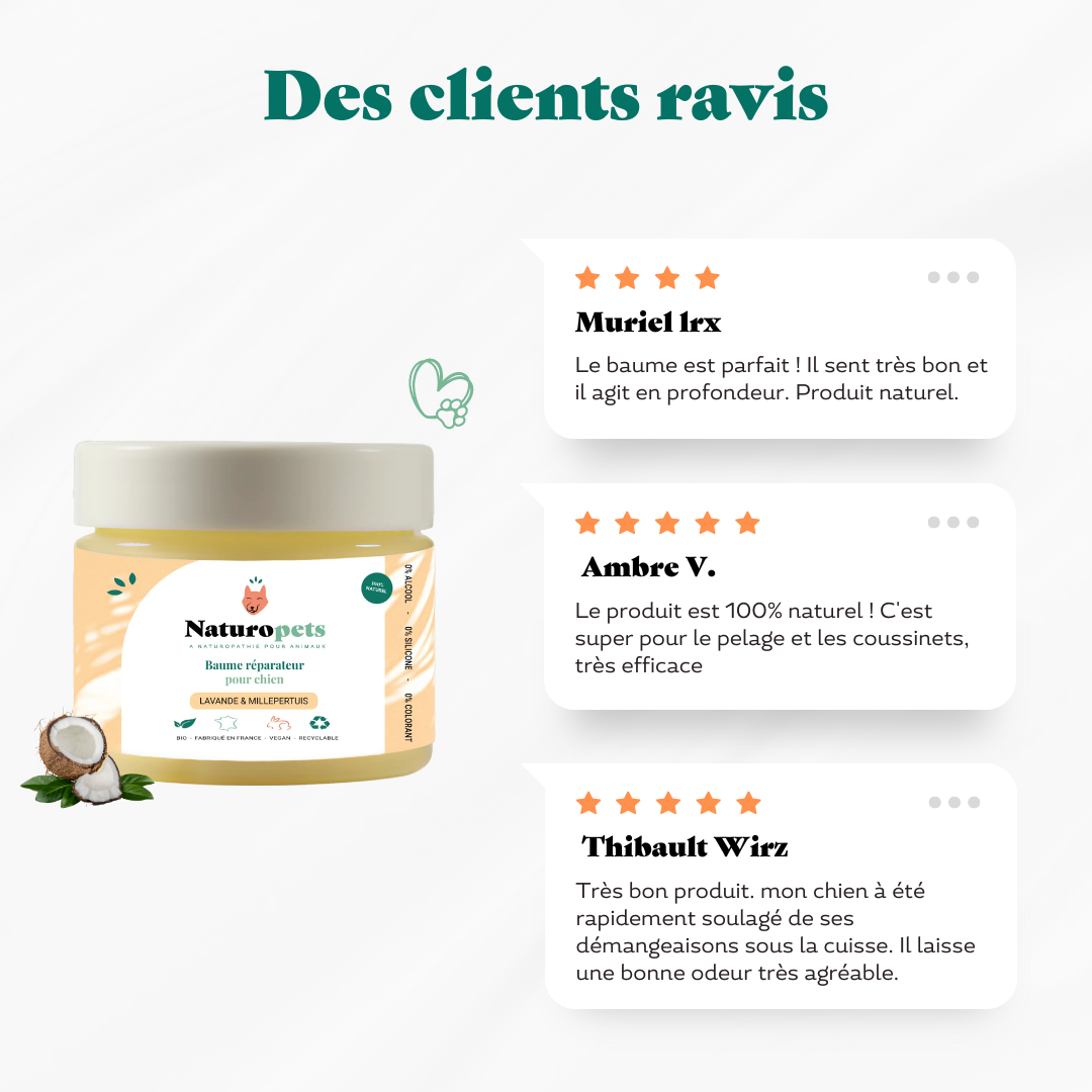 Baume coussinet chien - avis clients