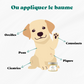 Baume réparateur coussinet et peau Chien BIO