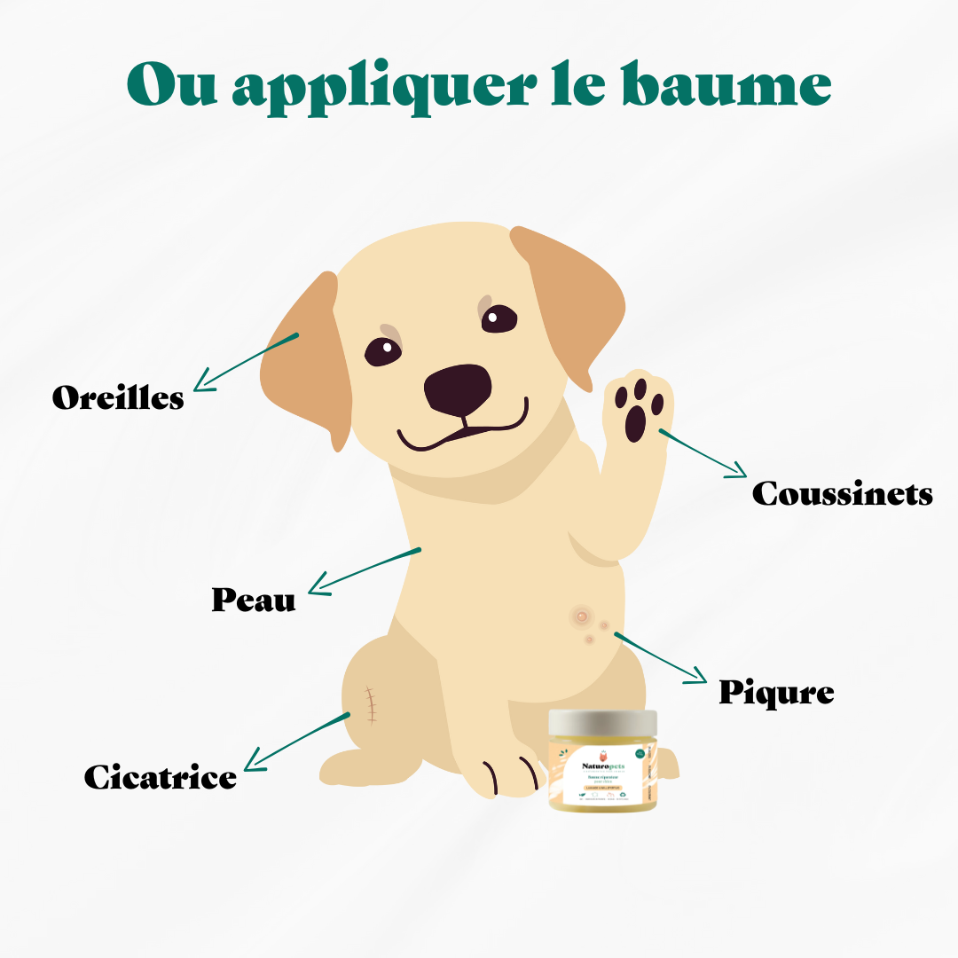 Baume réparateur coussinet et peau Chien BIO