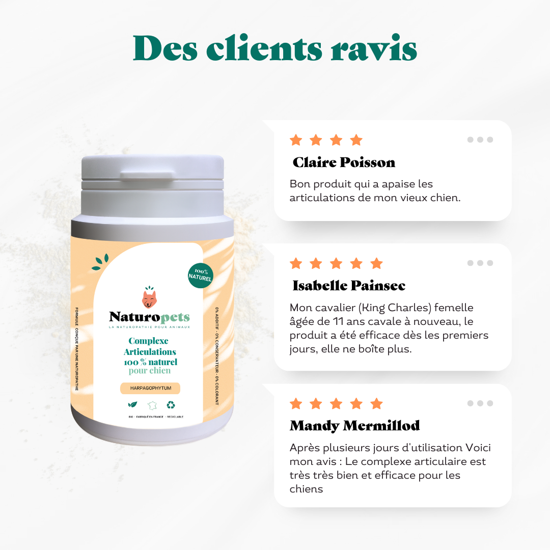 Complément alimentaire articulation chien avis clients