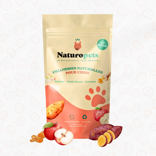 Friandise_naturelle_bio_pomme_patate_douce_curcuma_chien_-_Produit