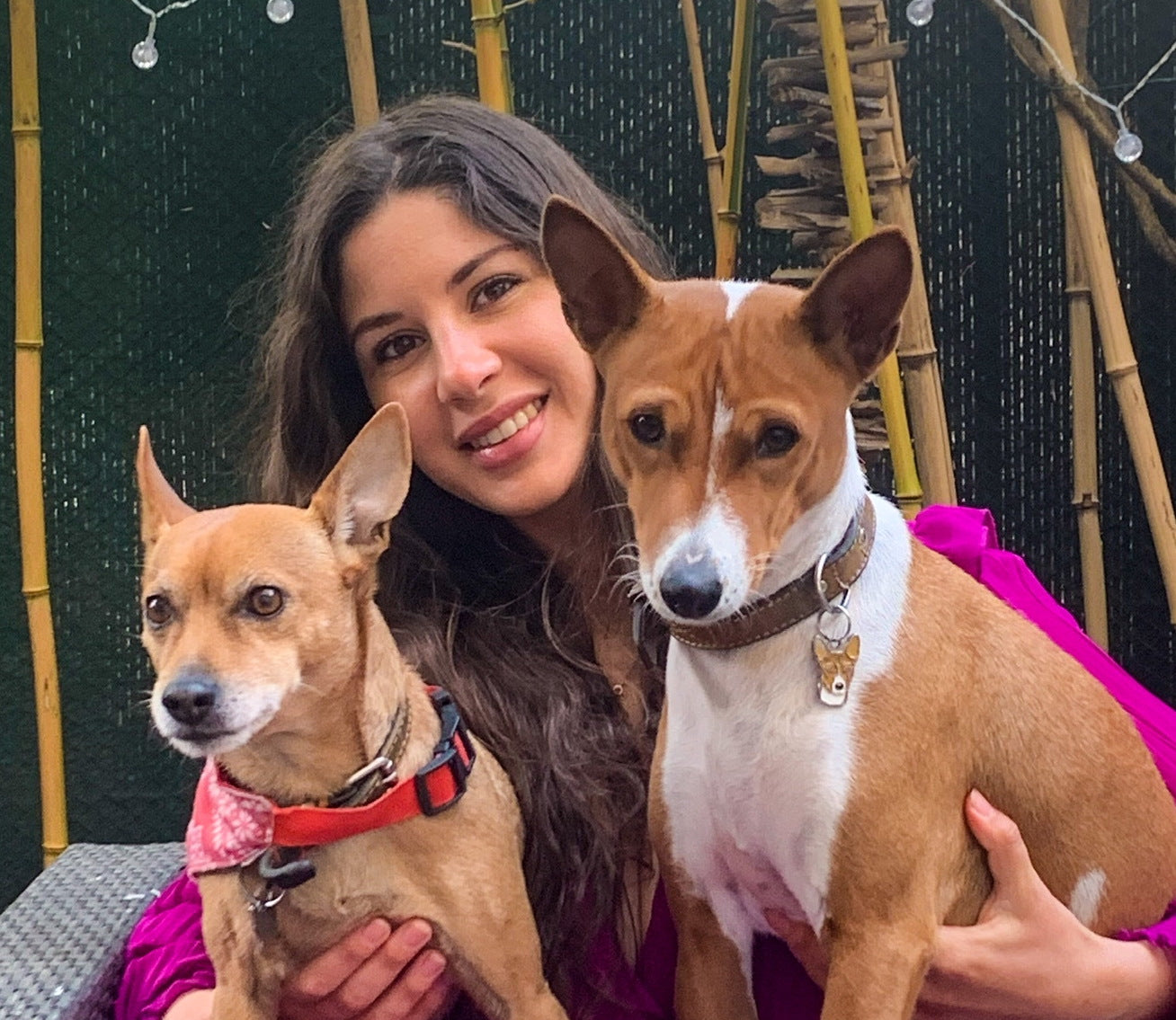 naturopathie animaux