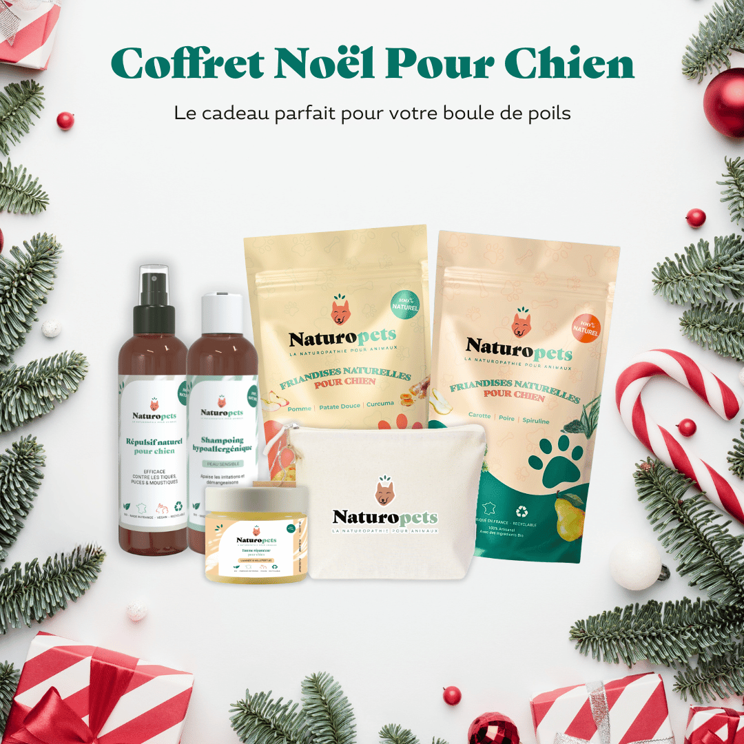 Coffret de Noël pour chien