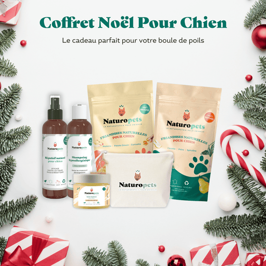 Coffret de Noël pour chien