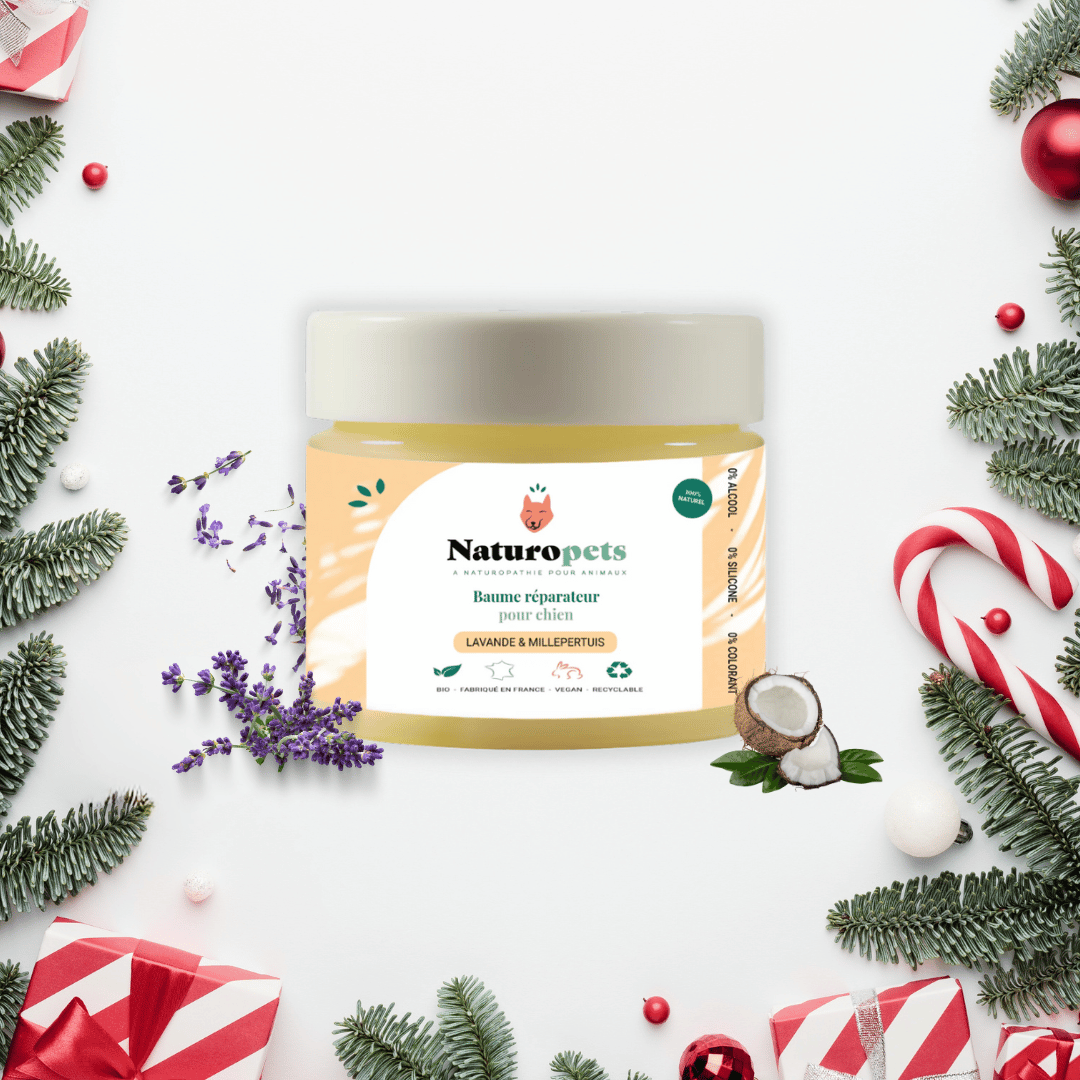 Baume réparateur coussinet et peau Chien BIO