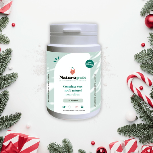 Vermifuge naturel pour chien à base d'ail et courge - 54g