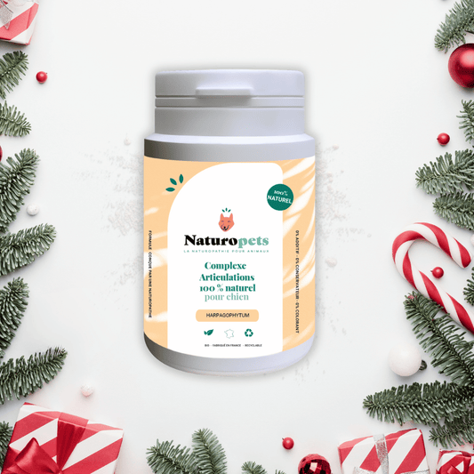 Complément alimentaire articulations naturel - Chien - 54g