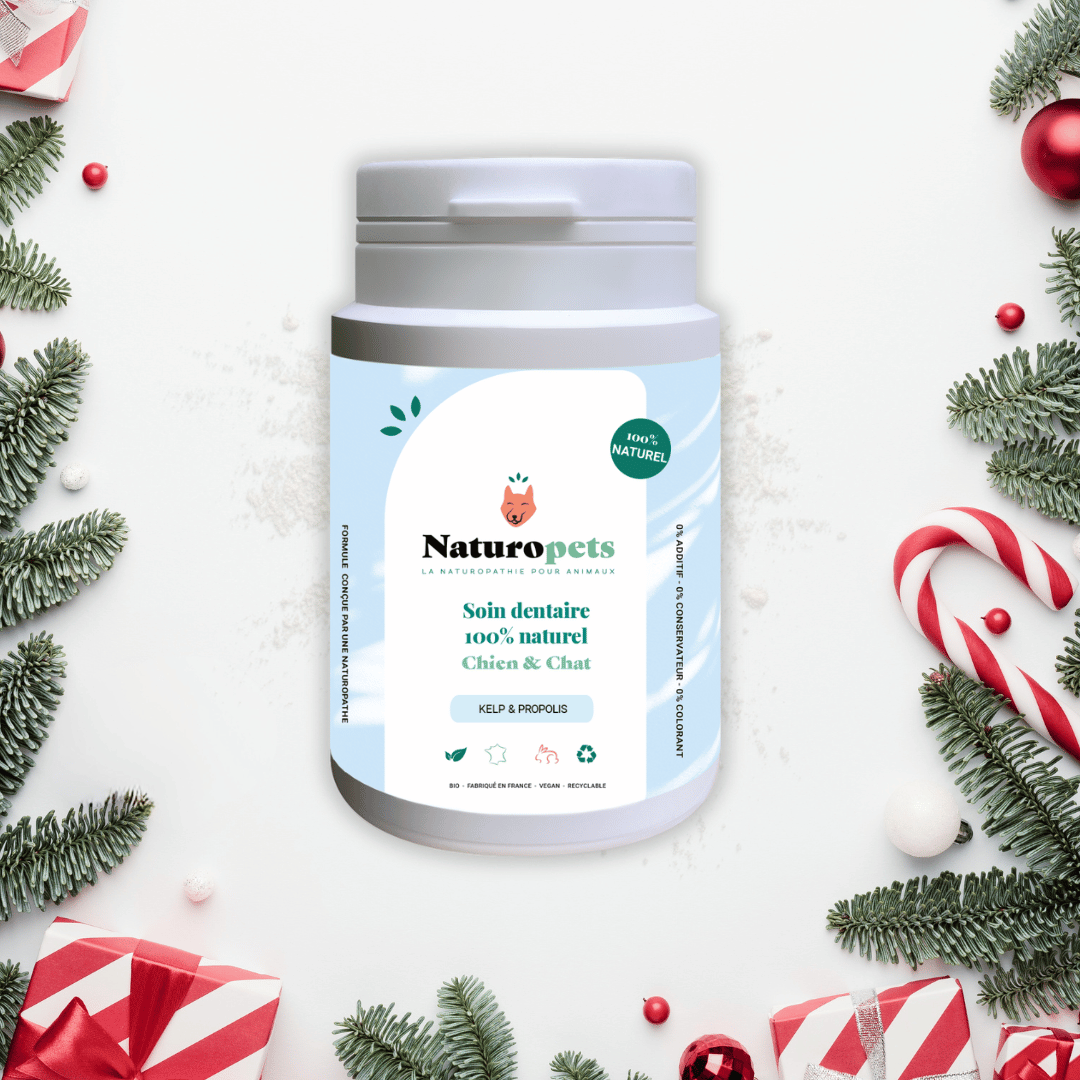 Soin dentaire naturel - Anti tartre et Mauvaise Haleine - Chien et Chat - 54g