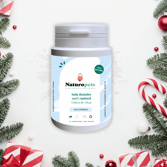 Soin dentaire naturel - Anti tartre et Mauvaise Haleine - Chien et Chat - 54g