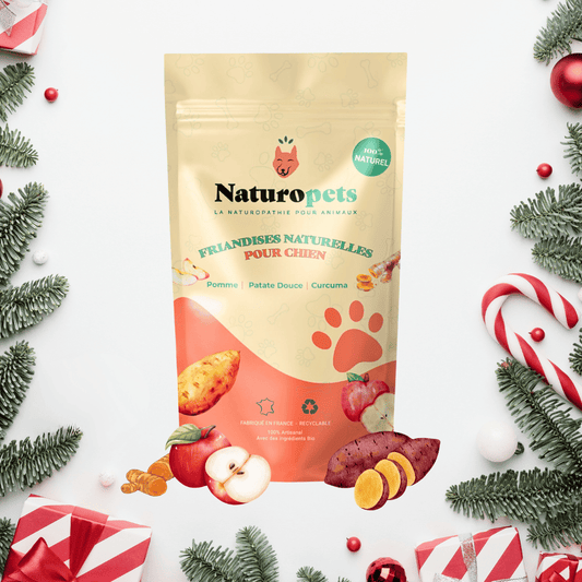 Friandises artisanales pour chien au curcuma, pomme et patate douce