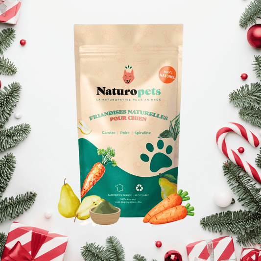 Friandises artisanales pour chien à la spiruline, carotte et poire