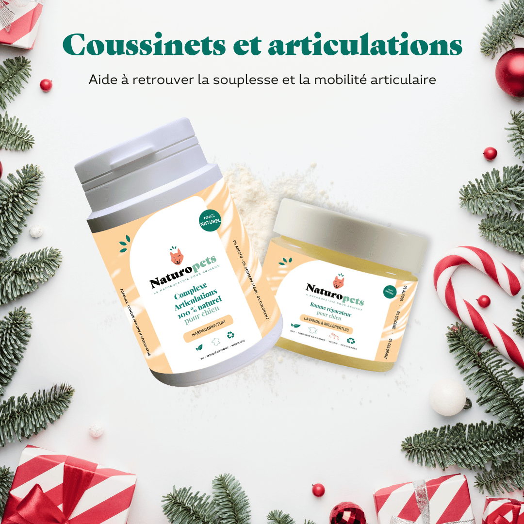 Box Coussinets et Articulations