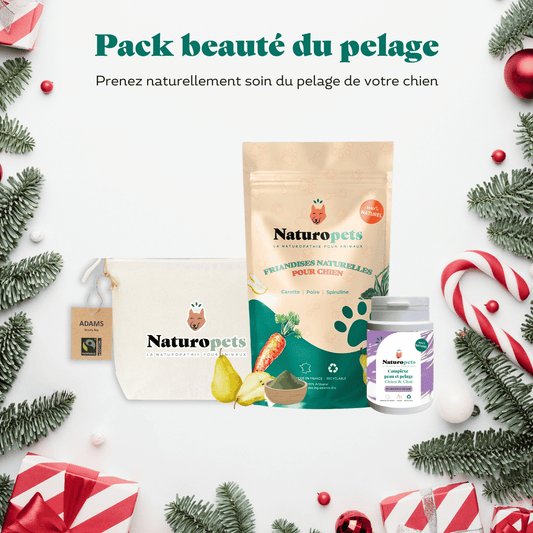 Pack beauté du pelage
