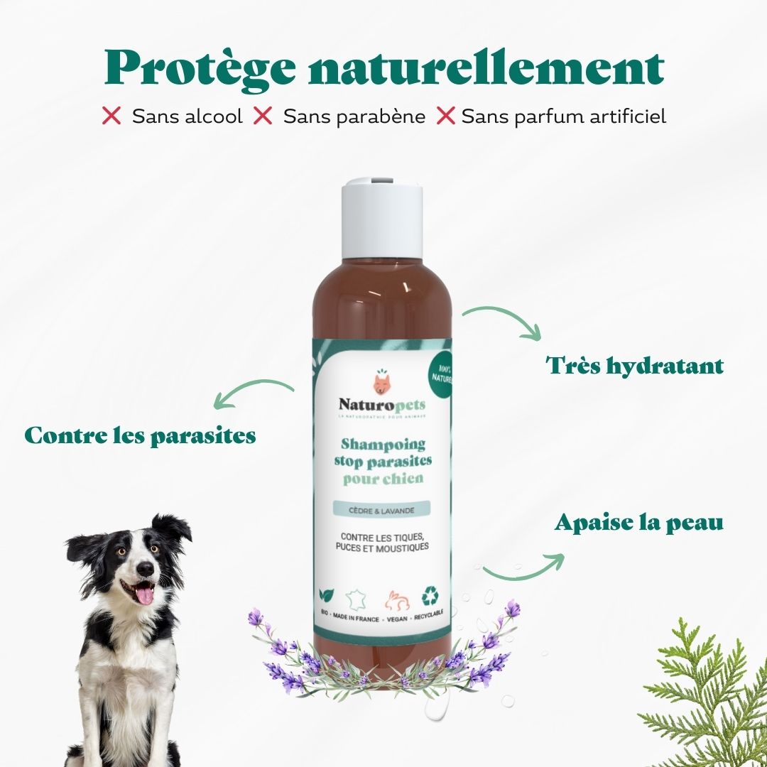 Shampoing anti puces, tiques et insectes BIO et Naturel - 200ml