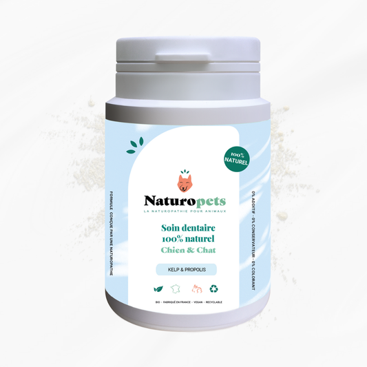 Soin dentaire naturel - Anti tartre et Mauvaise Haleine - Chien et Chat - 54g