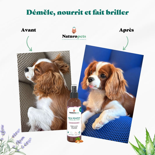Spray démêlant 100% naturel BIO Chien et Chat - 200ml