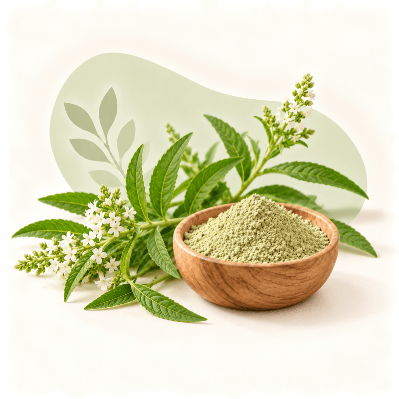 Verveine