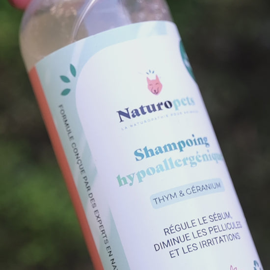 shampoing naturel chien et chat