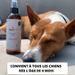 Répulsif anti tiques & puces - Chien