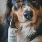 lotion yeux chien et chat